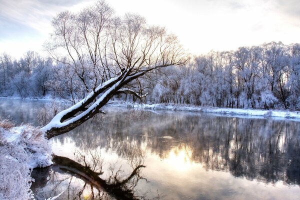 Wunderbare Winterlandschaft
