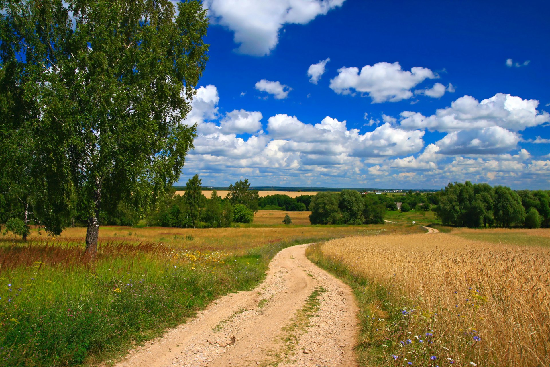 feld straße bäume himmel wolken weite