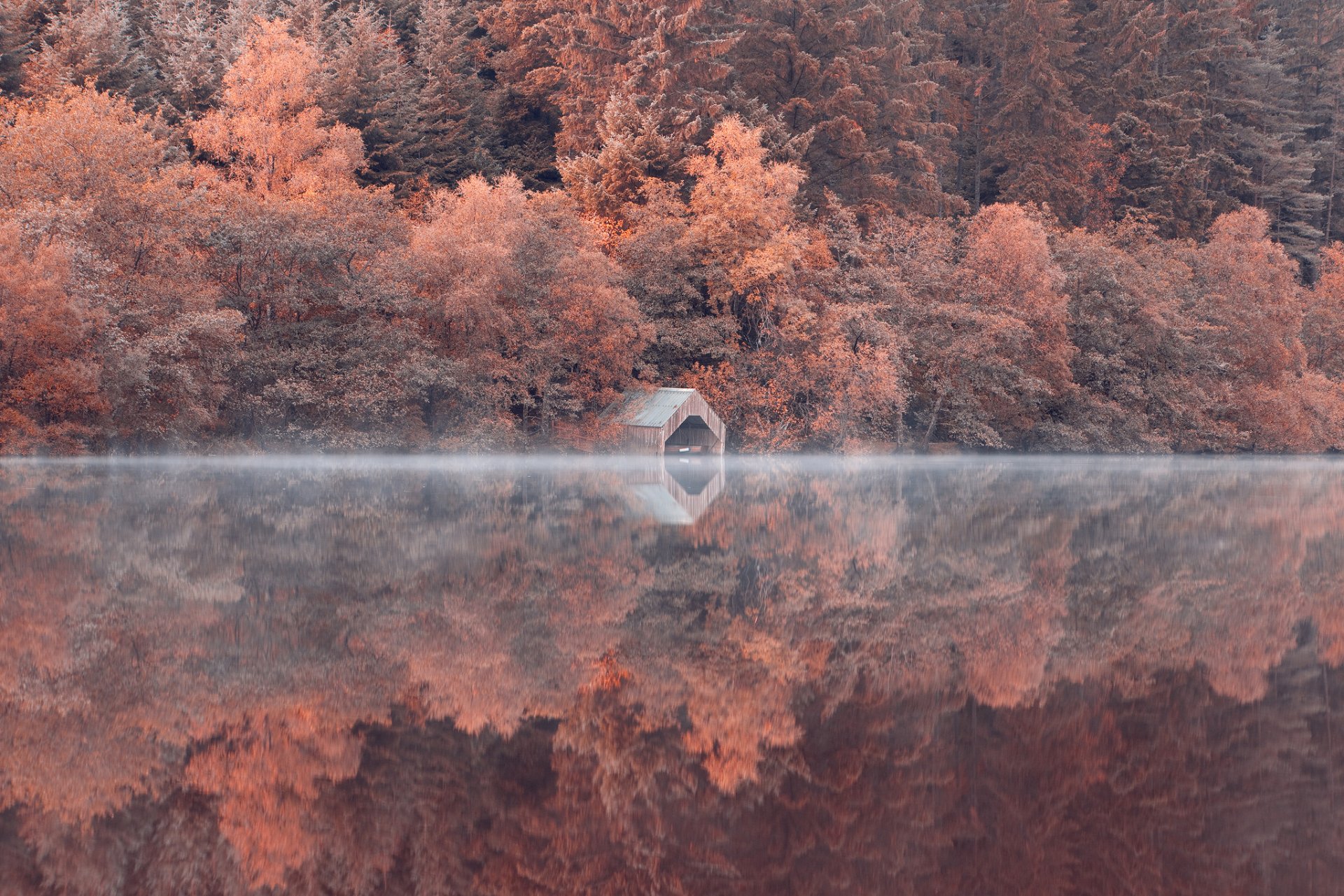 hang wald bäume see reflexion