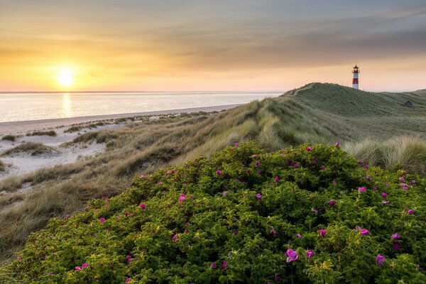 Sonnenaufgang über dem Meer