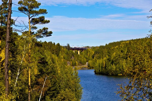 Fluss entlang des Waldes, mit Blick auf die Eisenbahn