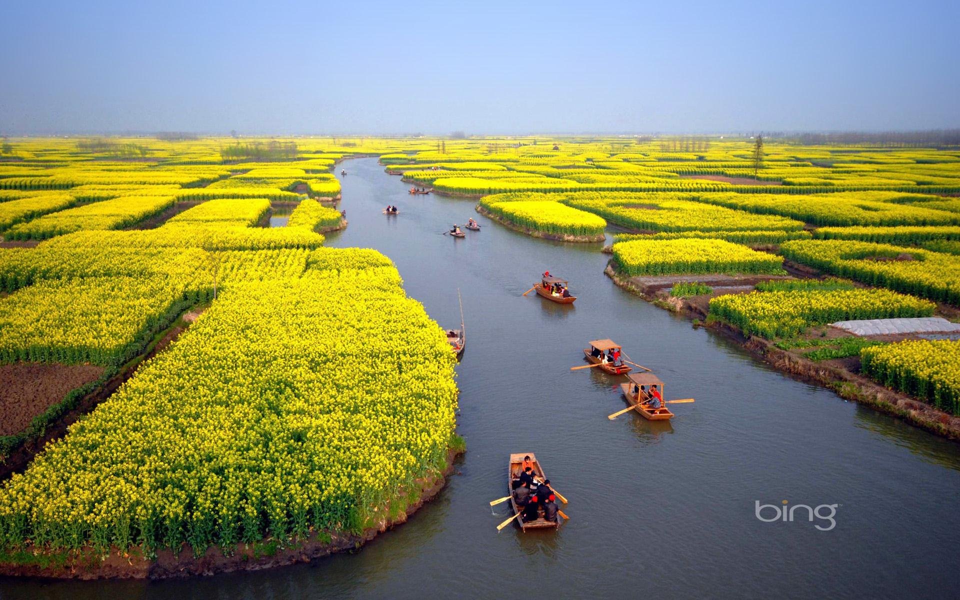 horizont kanal feld blumen boote menschen