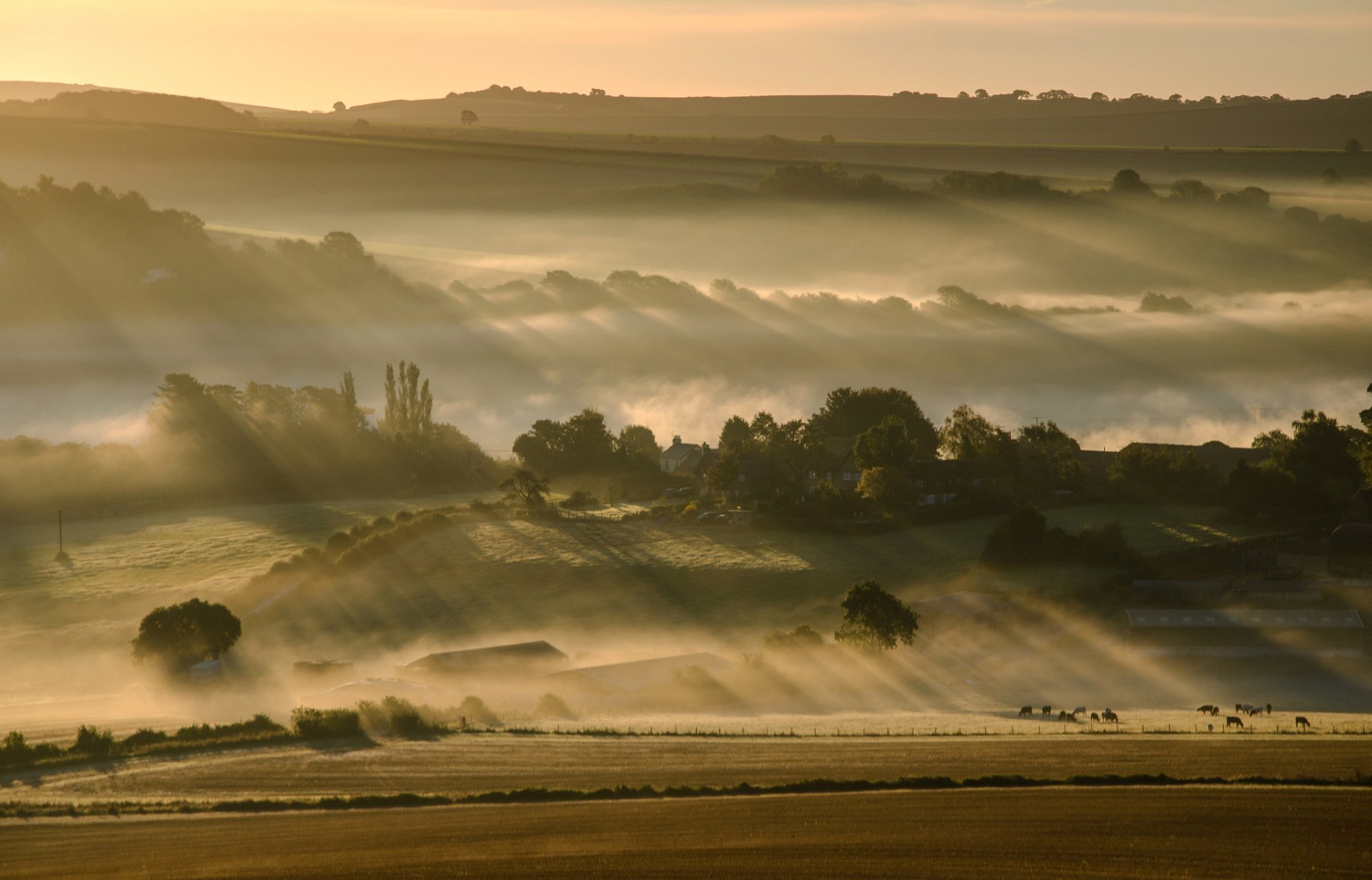 himmel morgen hügel nebel feld bäume
