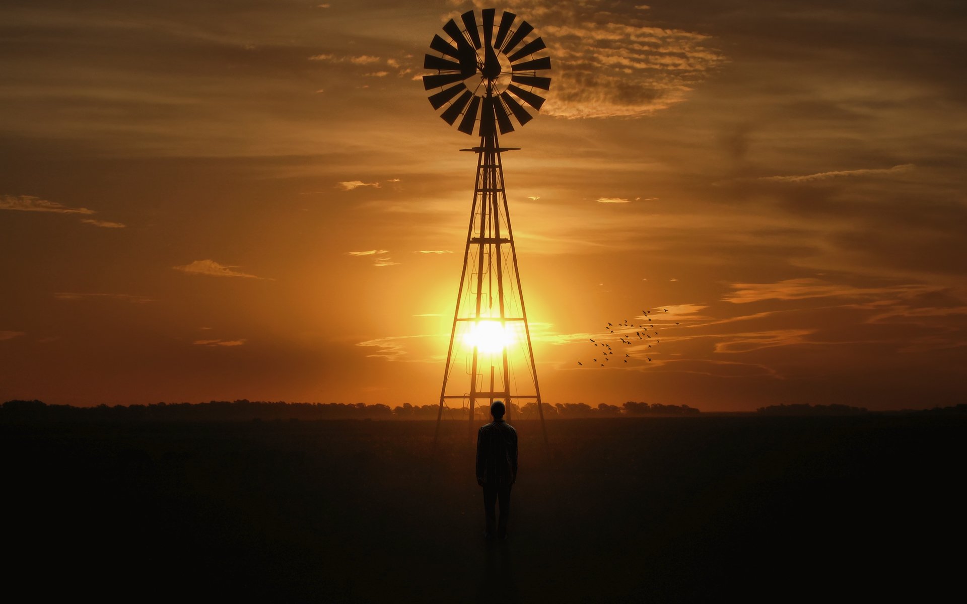 landschaft mühle sonnenuntergang mann sonne vögel
