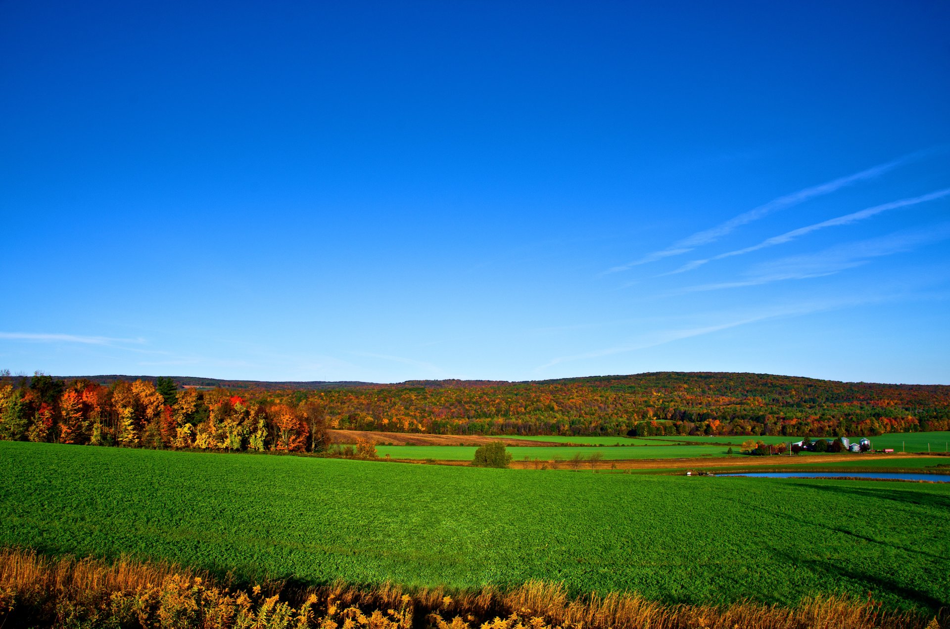 himmel horizont wald bäume feld herbst