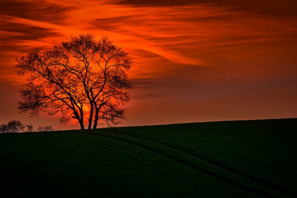 Das Bild der Landschaft auf dem Hintergrund des Sonnenuntergangs