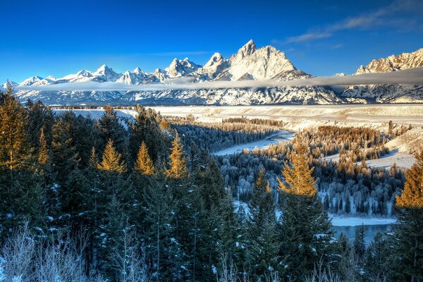 Schneebedeckte Gipfel der Berge. Kieferndickicht