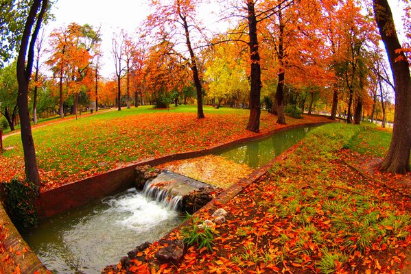 Bach im Herbstpark
