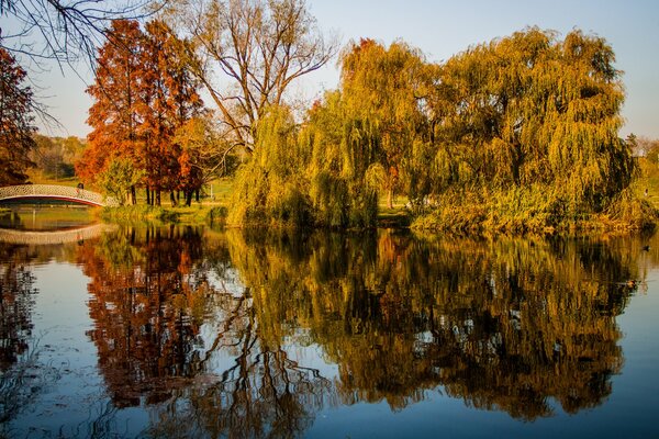 Herbstpark am Teich